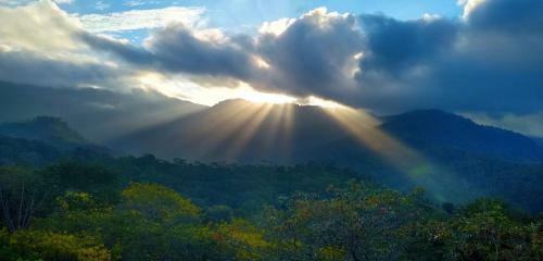 Bed & Breakfast Nature's Edge Cabinas