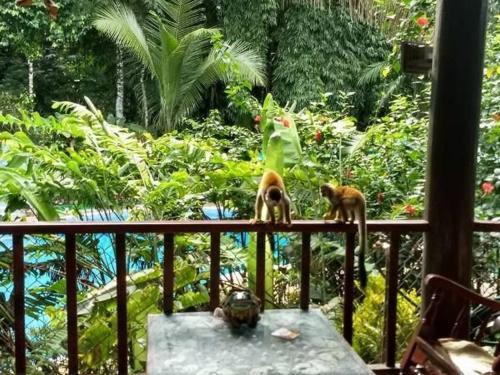 Hotel Manuel Antonio Park House