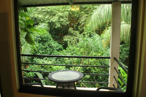 Posada Jungle Vista Inn