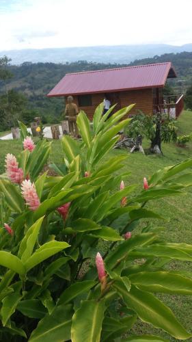 Albergue Montanas Del Pacuare