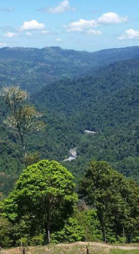 Albergue Montanas Del Pacuare