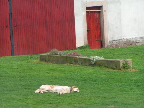 Agroturismo Chalupa-statek Ark�da
