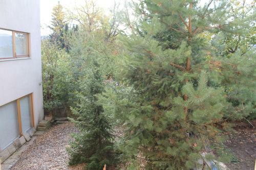Apartm�n V Dobr� Lokalit?