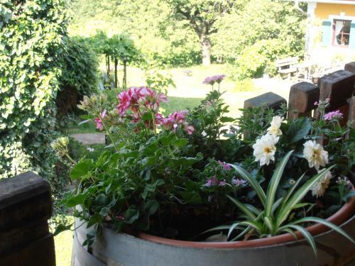 Agroturismo Weingut Rupp