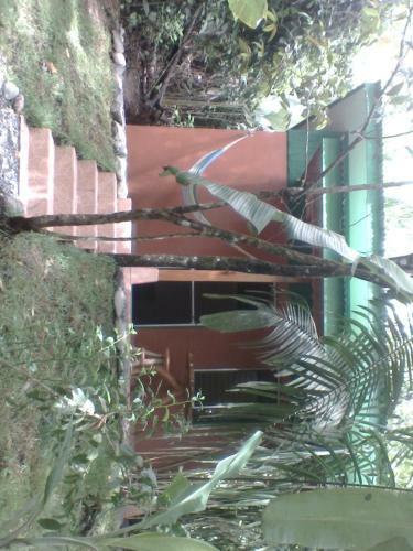 Lodge Jolly's Jungle Villa
