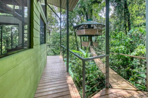 Finca Bellavista