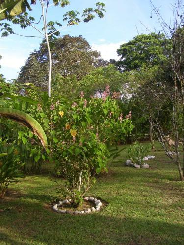 Lodge Finca Kobo