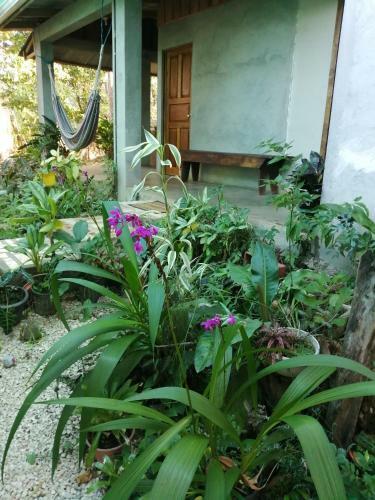 Agroturismo Casa Briza