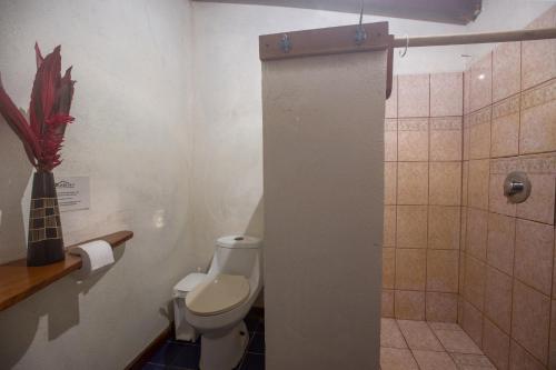 Casa Matix