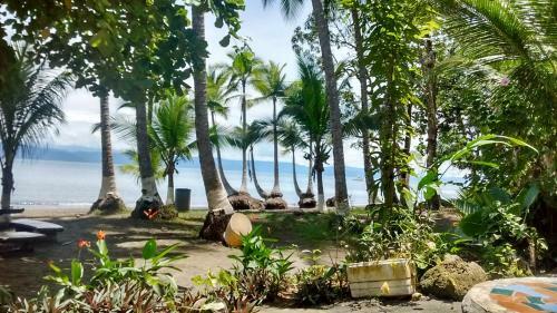 Hostal Osa Surf Hostel