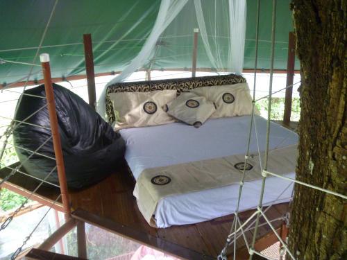 Lodge Nature Observatorio Treehouse Tours Puerto Viejo