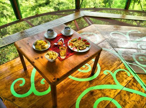 Lodge Nature Observatorio Treehouse Tours Puerto Viejo
