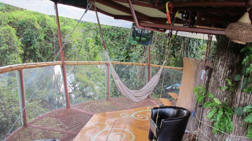 Lodge Nature Observatorio Treehouse Tours Puerto Viejo
