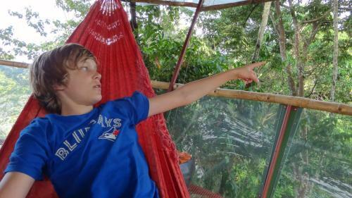 Lodge Nature Observatorio Treehouse Tours Puerto Viejo