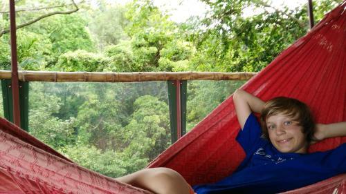 Lodge Nature Observatorio Treehouse Tours Puerto Viejo