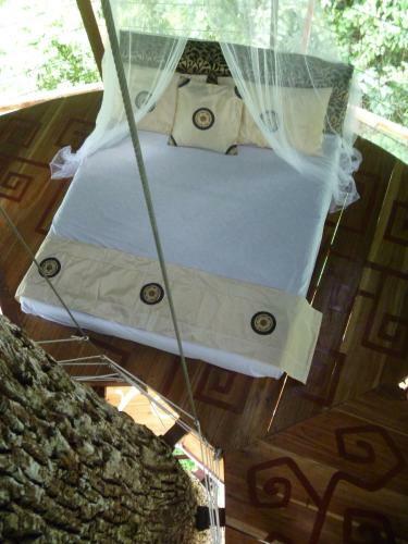 Lodge Nature Observatorio Treehouse Tours Puerto Viejo