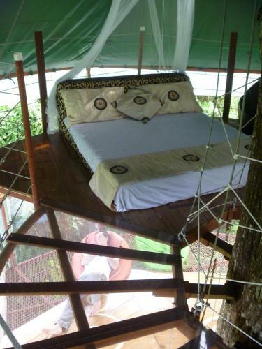 Lodge Nature Observatorio Treehouse Tours Puerto Viejo