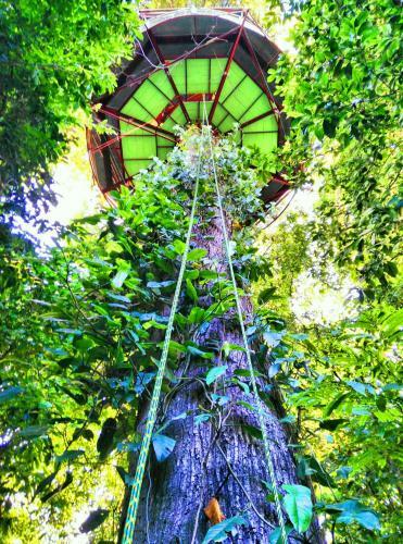 Lodge Nature Observatorio Treehouse Tours Puerto Viejo