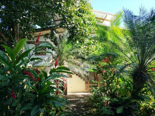 Pagal� Hostel