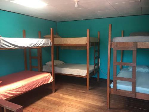 Albergue Hotel One Love Puerto Viejo
