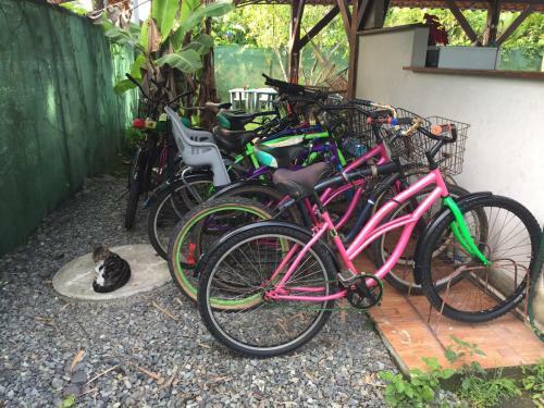 Albergue Hotel One Love Puerto Viejo