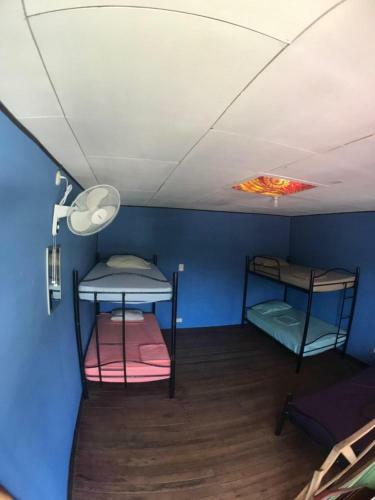 Albergue Hotel One Love Puerto Viejo
