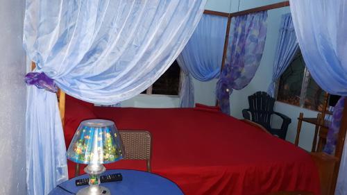 Hotel Cabinas Mitchaelles