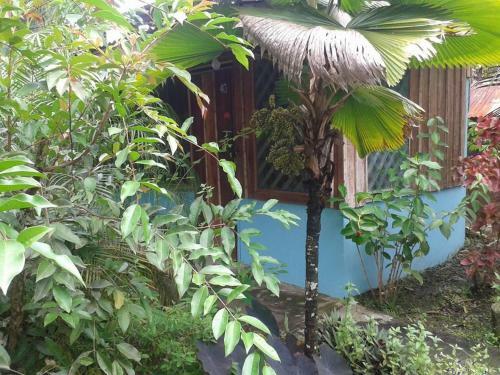Albergue Hotel Puerto Viejo
