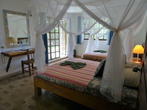 Hotel Pura Vida