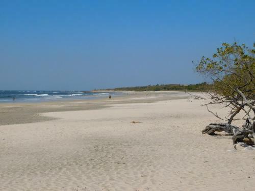 Bed & Breakfast Tranqui Funkey - Surf & Yoga
