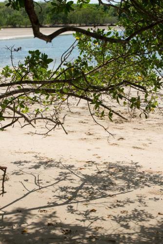 Hotel Tamarindo Dreams Villas With Private Pool