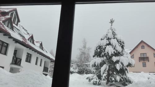 Apartm�n U Borovic