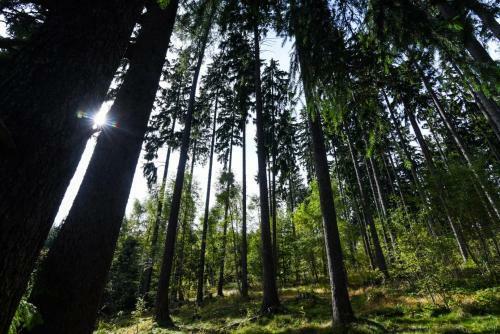 Hostal Libereck� Bouda - Rekreace V Srdci Krkono?