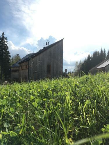Chalet6harrachov Se Saunou