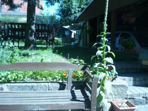 Apartamentos Zelen�