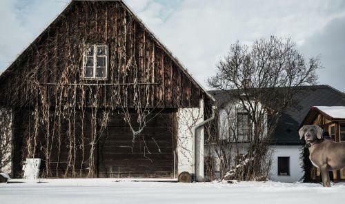 Hostal Chaty Na Malajce