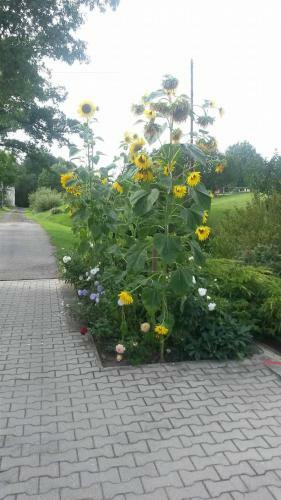 Hostal Ubytov�n� Ve Ml�n?