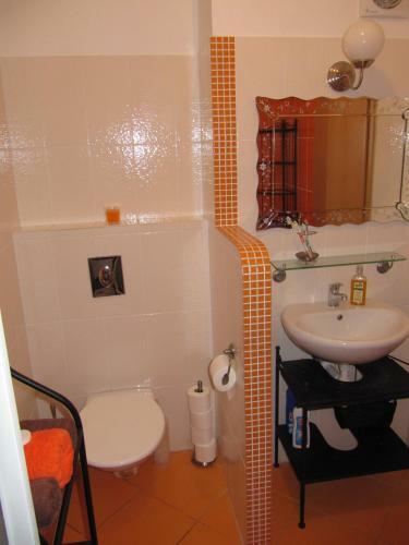 Horsk� Apartm�n Jesen�ky