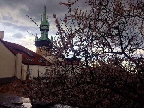 Hostal Althansk� Pal�c