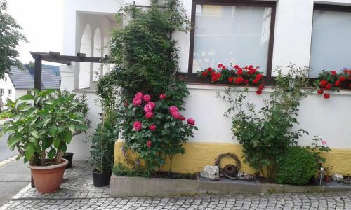 Apartamentos Ferienwohnung "am Eisenb�hl"