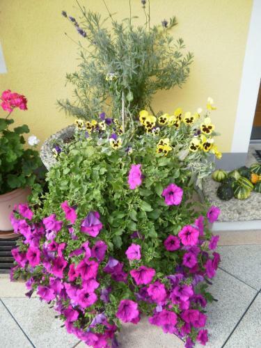 Hostal Haus Vordertiefenbach