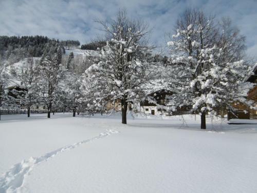 Apartamento Appartements Oberhof