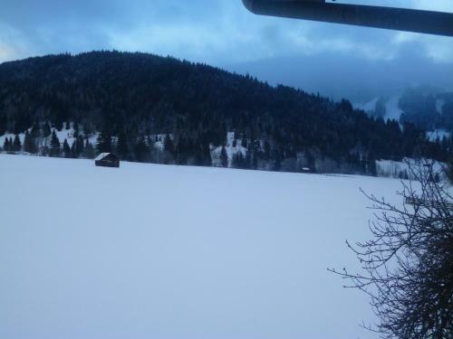 Apartamento Appartements Oberhof