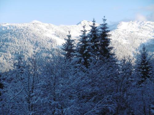 Apartamento Appartements Oberhof