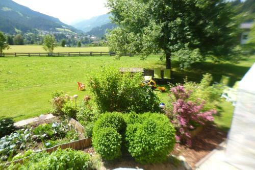 Apartamento Appartements Oberhof