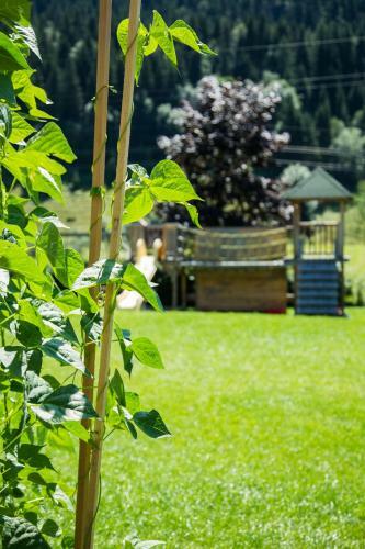 Hostal Appart-pension Steger