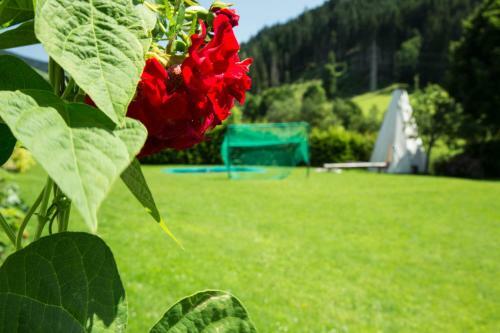 Hostal Appart-pension Steger
