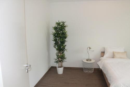 Prime Apartments 44