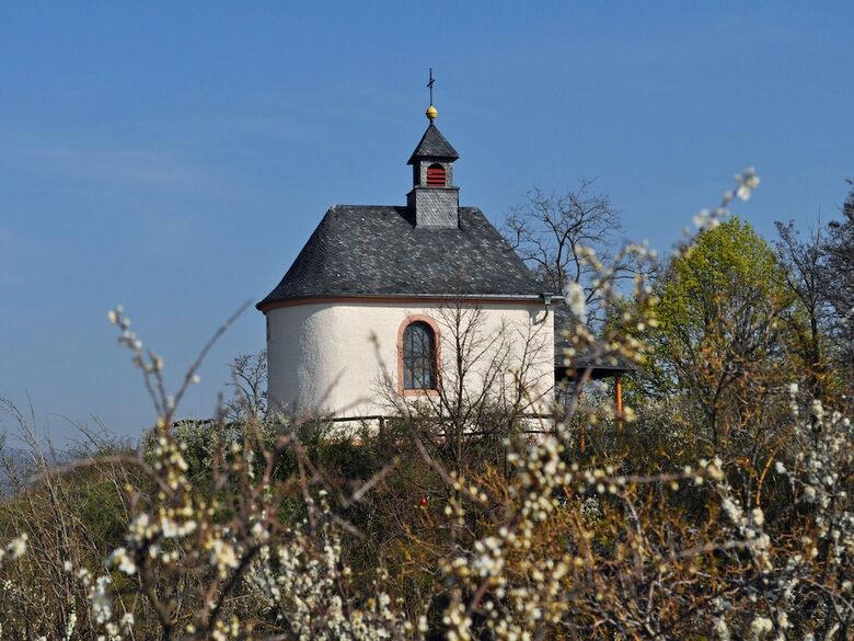 Hostal Hofgarten Rosa