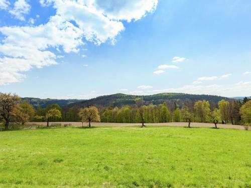 Chic Vacation Home Near Forest In Sebnitz Germany